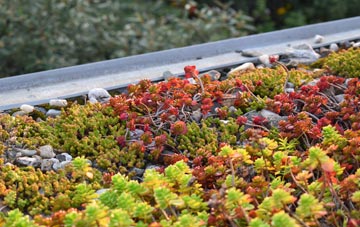 the cost of Hollows green roof installation