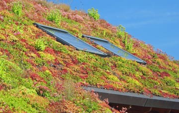 Hollows living roof systems