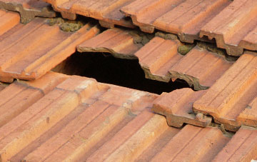 roof repair Hollows, Dumfries And Galloway