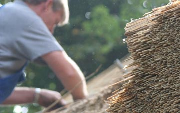 professional Hollows thatchers