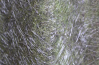 Hollows fibreglass roof work